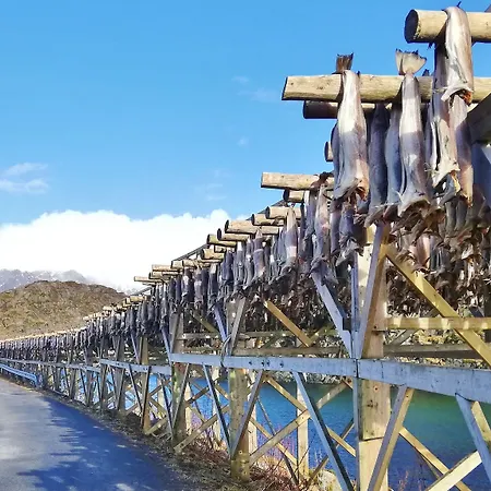 Notnes Midnattsol Vendégház 3*