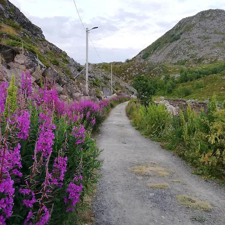 Notnes Midnattsol Skrova